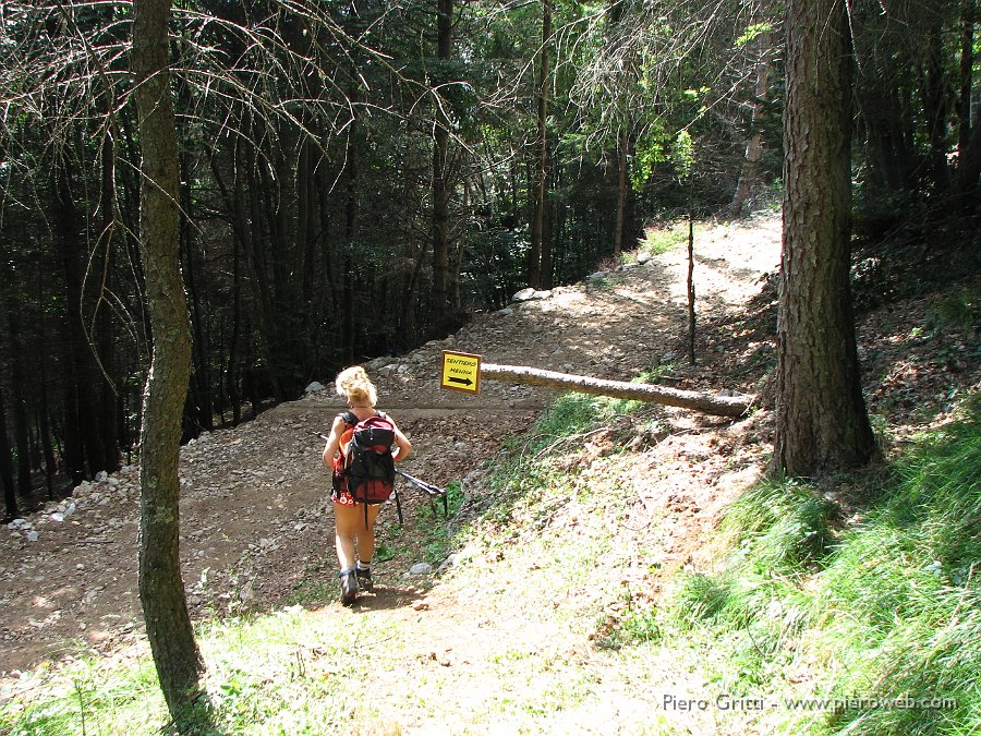 Menna3ag08 131.jpg - La variante (che ora noi chiameremo scherzosamente  'Sentiero Madda'  perché ce l'ha fatto scoprire  proprio Madda)  parte  in questo punto della strada che sale da Zorzone alla Cascina Mattuida.E' proprio un bel sentiero che vi consigliamo per salire in Menna